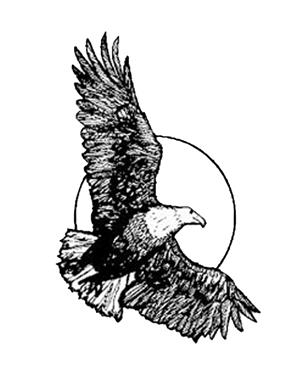 eagle logo